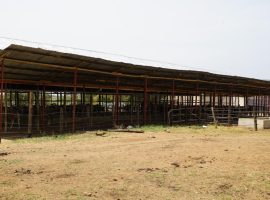 DSC05226